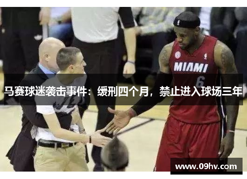 马赛球迷袭击事件：缓刑四个月，禁止进入球场三年